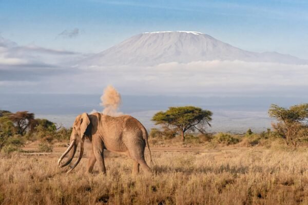 TANZANIA & ZANZIBAR SAFARI