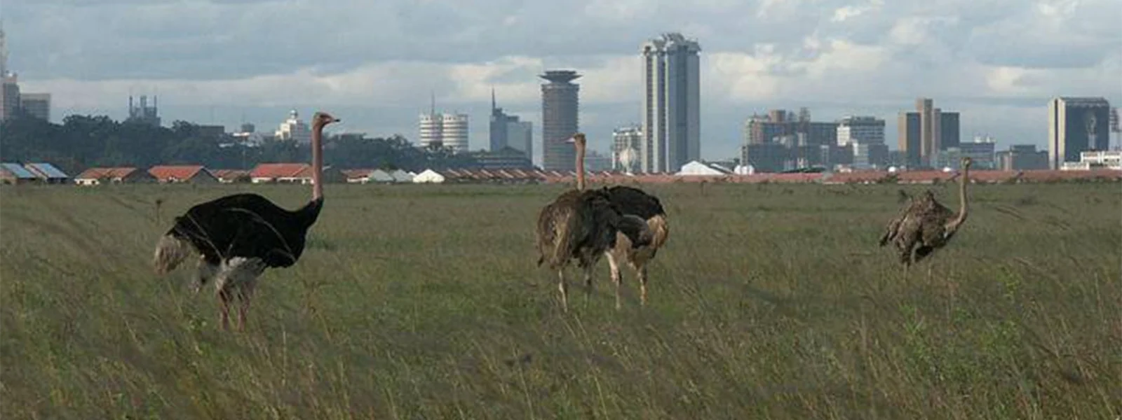 Kenya