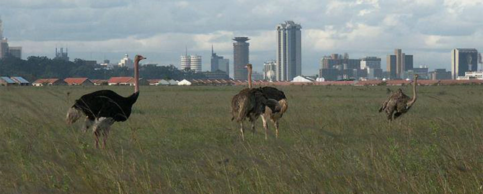 Kenya